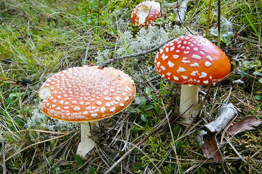 Similar image 674708