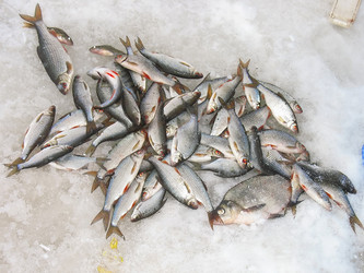 Similar image 674717