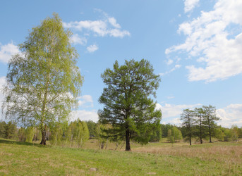 Similar image 674721