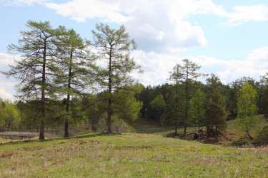 Similar image 674722