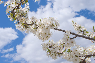 Similar image 674726