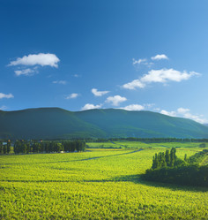 Similar image 674728