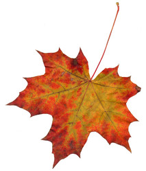 Similar image 674742