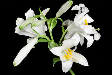 Similar image 674745