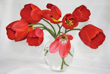 Similar image 674759