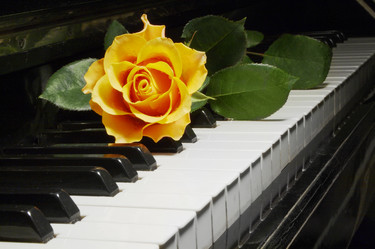 Similar image 674782