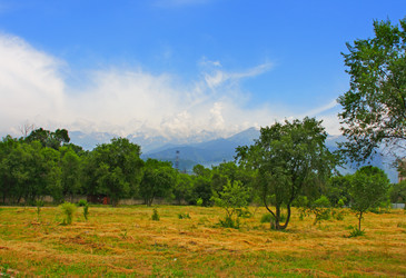 Similar image 674801