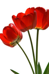 Similar image 674834