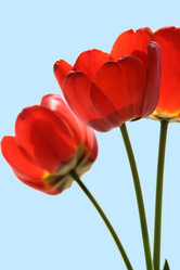 Similar image 674839