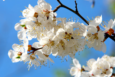 Similar image 674846