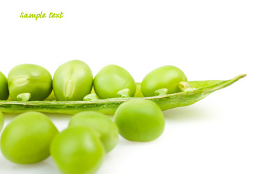 Similar image 674855