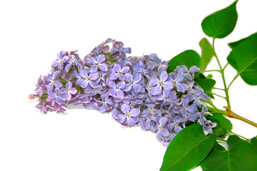 Similar image 674868