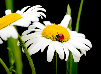 Similar image 674902