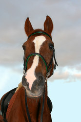 Similar image 674920