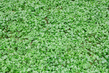 Similar image 674921