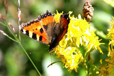 Similar image 674925