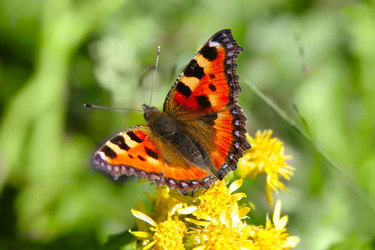 Similar image 674926