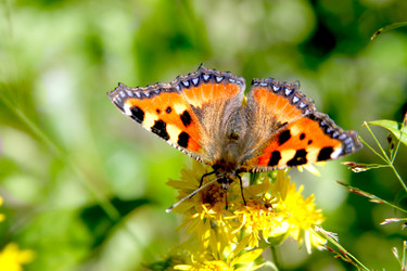 Similar image 674927