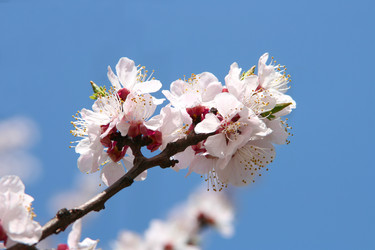 Similar image 674942