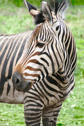 Similar image 674953