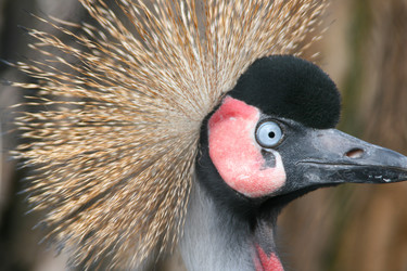 Similar image 674959