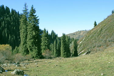 Similar image 674999