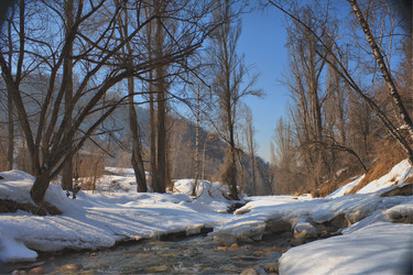 Similar image 675003