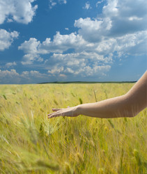 Similar image 675032