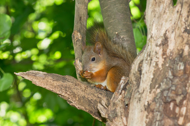 Similar image 675037