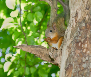 Similar image 675038