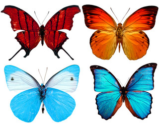 Similar image 675058