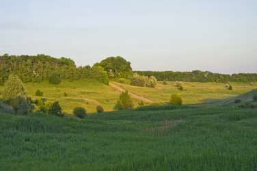 Similar image 675065