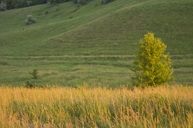 Similar image 675067