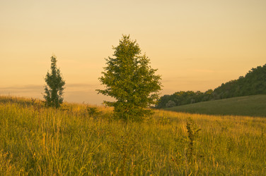 Similar image 675071