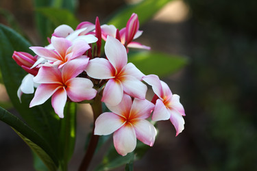 Similar image 675136