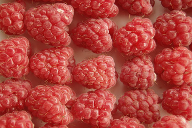 Similar image 675148