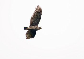 Similar image 675157