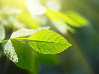 Similar image 675185