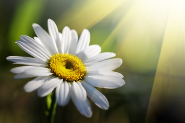 Similar image 675187