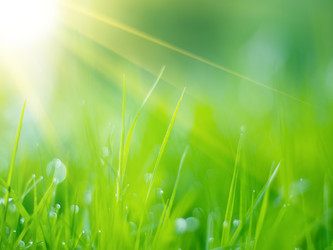 Similar image 675194