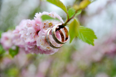 Similar image 675212