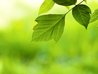 Similar image 675213