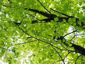 Similar image 675214