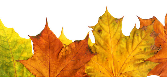 Similar image 675226