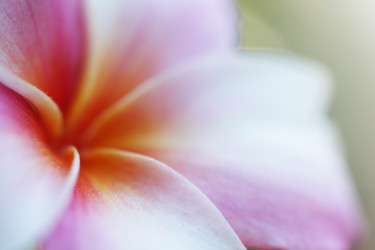 Similar image 675228