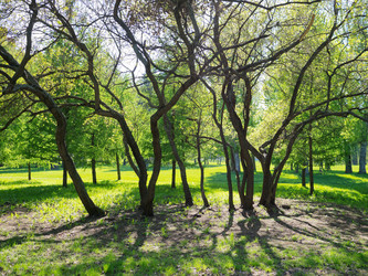 Similar image 675231