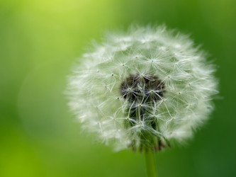 Similar image 675236