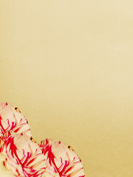 Similar image 675259