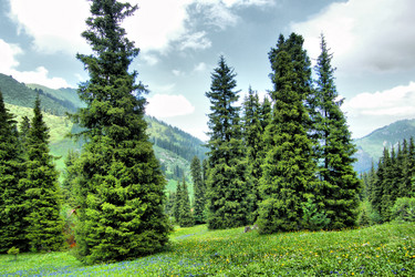 Similar image 675263