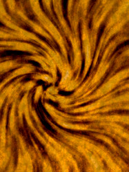 Similar image 675264